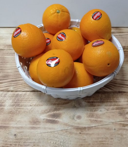 Orange Llusar