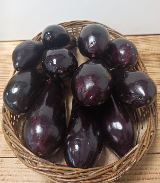 Aubergine